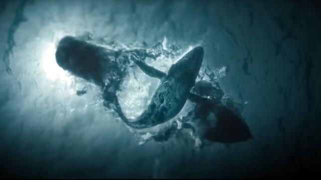 科幻惊悚影集《群 The Swarm》|当人类不再是唯一的高等智慧生物 内容图3 女神网-大潮社TV实时追踪属于女人新资讯的综合网站! 科幻惊悚影集《群 The Swarm》|当人类不再是唯一的高等智慧生物 新学堂 图3张