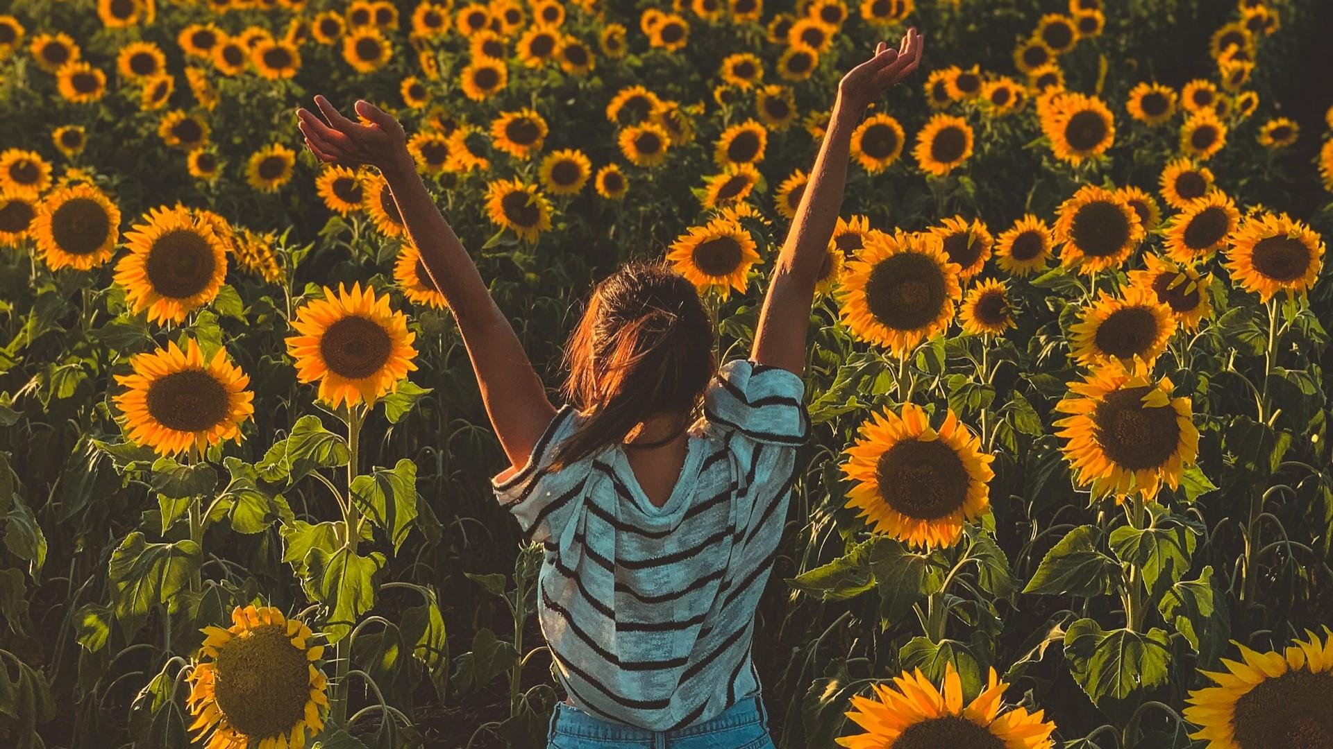 《Stay True 保持真诚》:欢乐不代表抛弃,而更能记得那些好时光 内容图3 女神网-大潮社TV实时追踪属于女人新资讯的综合网站! 《Stay True 保持真诚》:欢乐不代表抛弃,而更能记得那些好时光 新学堂 图3张