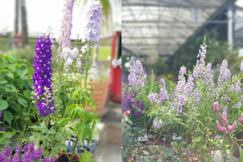 “你永远有重新选择的权利。”《植物都知道》为自己的生活拿捏比例,找到最自在的状态 内容图1 女神网-大潮社TV实时追踪属于女人新资讯的综合网站! “你永远有重新选择的权利。”《植物都知道》为自己的生活拿捏比例,找到最自在的状态 新学堂 图1张