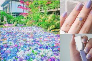 LOOKin／显白推荐色选“薄淡紫阳花”指甲油！