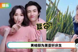 萧亚轩遭爆低调复合小16岁黄皓！彼此仍有感情…放不下她和爱犬