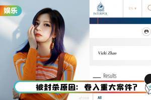 疯传赵薇被国际刑警下“红色通缉令”追捕！ 两张图泄真相