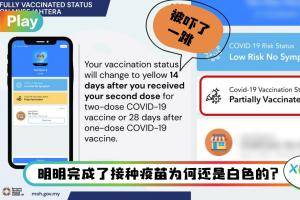 Tips I 白色和黄色背景的区别？只有完成接种14天后才会显示黄色背景页面！