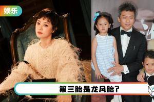 网疯传孙俪怀第三胎！ 工作室7字回应了