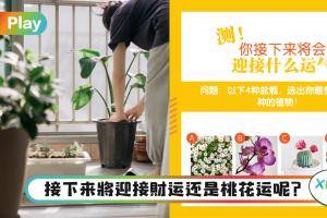 心理测验｜即将迎接桃花运还是倒霉运呢？赶快来测一下！