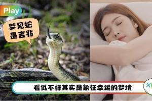 命理 I 梦见这5个看似不详的梦境，实则在预示近期将有好事发生！
