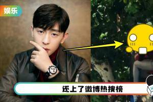 粉丝曝在树上看到邓伦！网友狂喊：快下来不安全！