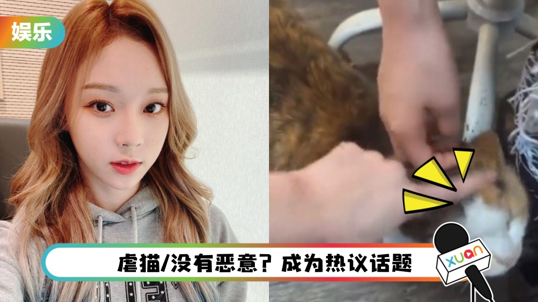 逗猫“故意放大音量”吓跑它！11秒短片曝光…aespa Winter挨轰：有点不妥