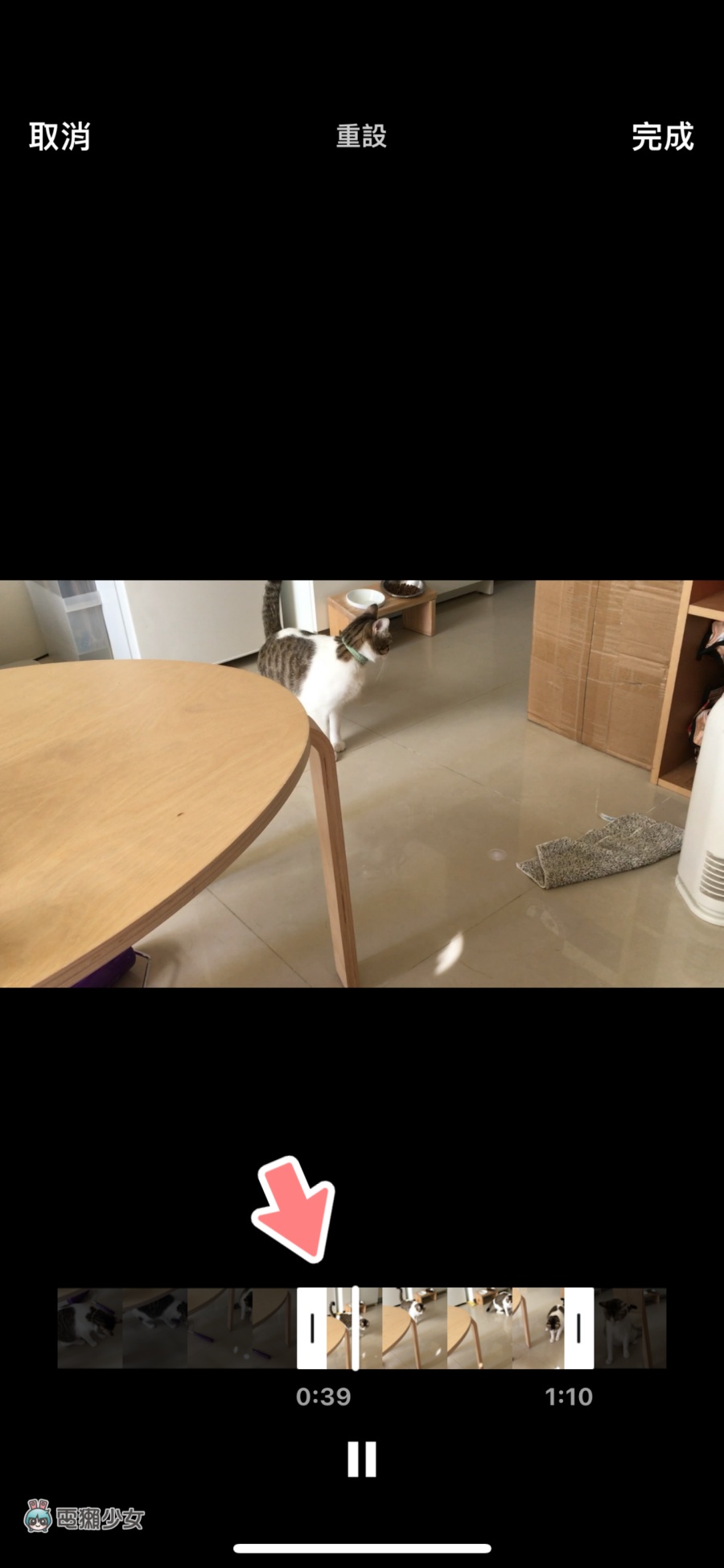 LINE 贴图还可以这样用!内建功能让你的影片/照片变美美又可爱 内容图8 潮品文-大潮社旗下实时最新热点娱乐时尚数码等新闻资讯网站! LINE 贴图还可以这样用!内建功能让你的影片/照片变美美又可爱