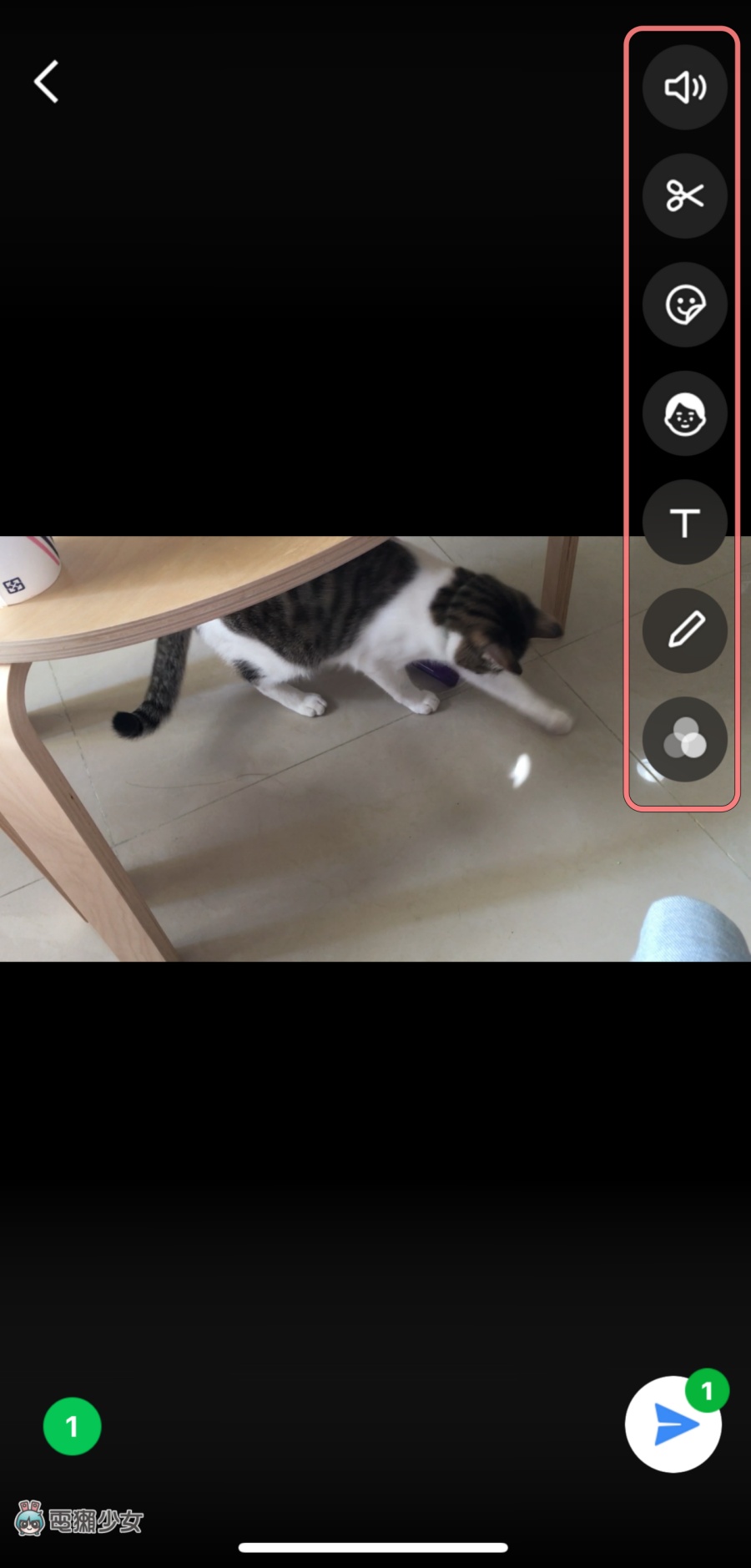 LINE 贴图还可以这样用!内建功能让你的影片/照片变美美又可爱 内容图7 潮品文-大潮社旗下实时最新热点娱乐时尚数码等新闻资讯网站! LINE 贴图还可以这样用!内建功能让你的影片/照片变美美又可爱