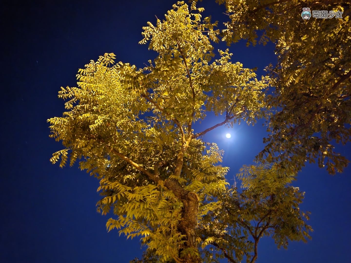 三星双折叠机 Galaxy Z Flip3 5G 和 Galaxy Z Fold3 5G 开箱体验,加入防水、S Pen手写功能更齐全,价格也更亲民 内容图42 潮品文-大潮社旗下实时最新热点娱乐时尚数码等新闻资讯网站! 三星双折叠机 Galaxy Z Flip3 5G 和 Galaxy Z Fold3 5G 开箱体验,加入防水、S Pen手写功能更齐全,价格也更亲民