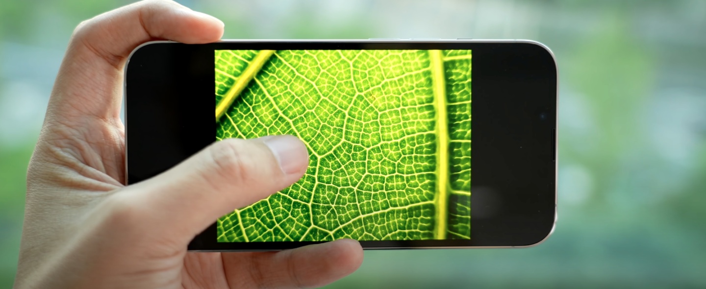 外媒 iPhone 13 开箱心得:续航提升有感,Pro 系列的镜头表现还是很强! 内容图8 潮品文-大潮社旗下实时最新热点娱乐时尚数码等新闻资讯网站! 外媒 iPhone 13 开箱心得:续航提升有感,Pro 系列的镜头表现还是很强!