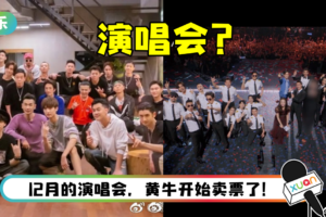 网爆《哥哥》成团后有演唱会！ 审批文件流出…日期、地点、阵容都有了