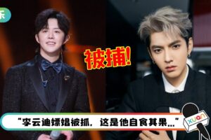 李云迪获官媒说好话！对比吴亦凡：对社会的危害相对较轻