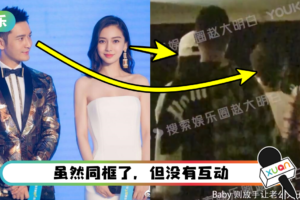 黄晓明、Angelababy久违同框！ 抱小海绵入住酒店…全程零交流