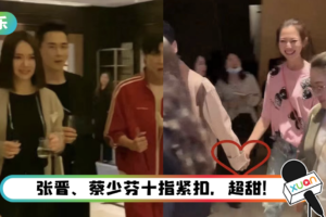 《哥哥》庆功宴照片流出！ 张晋、李承铉、蔡少芬、戚薇“四角恋”要相遇啦