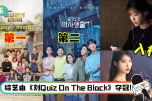 tvN 15周年人气剧集票选结果出炉！《请回答1988》播毕6年仍排第一…IU两部作品入榜！