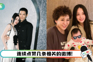 向太被抓包悄悄点赞“教郭碧婷怀男孩方法”！ 网傻眼抨击：家里有皇位要继承？