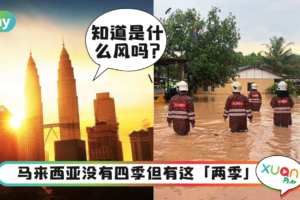 科普｜马来西亚年尾总是下大雨，原因都是这个“风”！