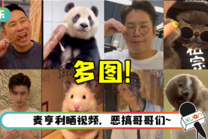 《披荆斩棘的哥哥》秒变动物园！ 各种神撞脸…简直是一模一样