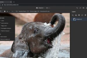 Adobe 宣布 Photoshop、Illustrator 网页版即将上线，简易介面好上手！
