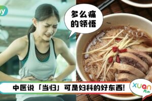 食谱 I 想摆脱经痛试看看这食疗，中医推荐的“当归芍药散”