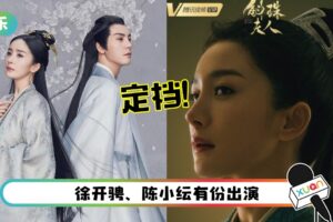 《斛珠夫人》定档！杨幂、陈伟霆大玩“谐音梗”