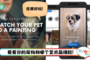 Tips I 宠物长得像街头画作？5个步骤教你用Arts & Culture 配对！