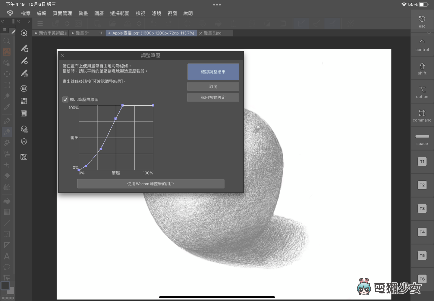 来看我画画！超强大绘图软件 Clip Studio Paint 功能齐全，插画、漫画和动画一次搞定！ 数码科技 图4张