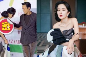 杨幂红毯险跌“外双C”0.5秒倒奶！上围呼之欲出抢风头