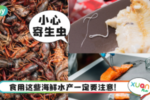 Tips｜5种最容易藏有寄生虫的食物，海鲜就占据最多？