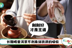 健康 I 普洱茶没错很养生！但不建议在这6种情况下喝