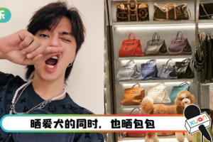 罗志祥财力惊人！家里的名牌包 摆到像专卖店一样