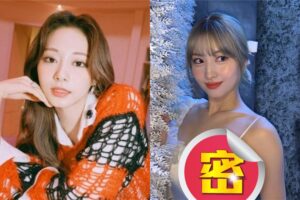 子瑜“最辣队友”不藏了！侧身全是洞　透视衣开高衩晒巨胸