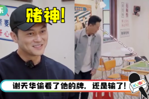 《大湾仔的夜》开桌打麻将！ 张智霖连赢谢天华、林晓峰、梁汉文…一次都没输过