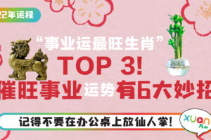 运程｜“事业运最旺生肖”TOP3，催旺事业运势有6大妙招！