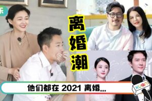 【王力宏离婚】2021是“离婚年”？分的最难看的是这对！