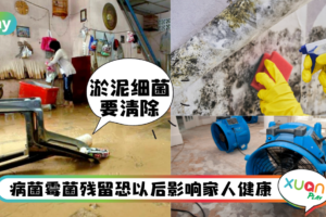 Tips｜消毒、保险评估不能做少，屋子经历淹水后该做的5件事！