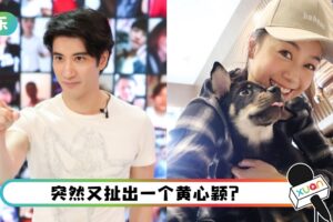 王力宏形象插水… 黄心颖爱过他“我第一个老公！”
