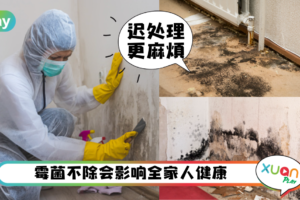 Tips｜水灾后恐家中霉菌爆发！5个步骤去除家中霉菌