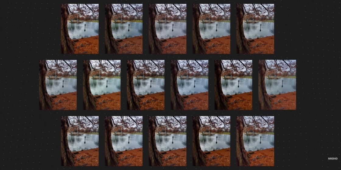 16 款手机拍照盲测！吸引百万名网友参与 最终获胜竟是 Google 手机