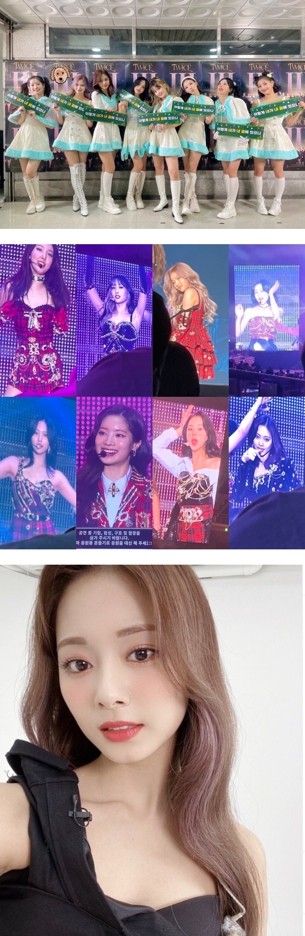 中国台湾ICE 子瑜出道6年大突破！紫色短发新造型曝光…秒登推特热搜！ 娱乐资讯 图1张