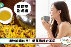 Tips I 上火时要喝菊花茶？不同菊花有不同功效，赌你不懂！