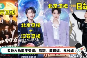 本周五就要跨年了！盘点各大跨年晚会演出阵容 《披哥》都在这台