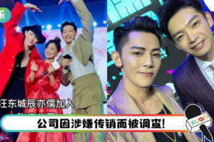 上个月刚宣布入股张庭公司！ 网点名辰亦儒、汪东城：应该也要查