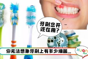 Tips|生病后就该换牙刷!口腔疾病好不了都和牙刷有关系