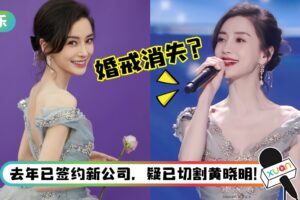 Angelababy“仙女装”绝美现身跨年晚会！手上婚戒离奇消失…疑再度婚变！