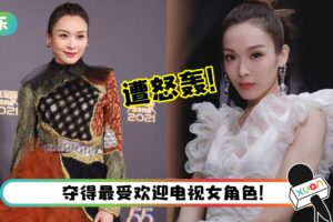 【万千星辉2021】李佳芯深陷XX+港独风波仍获奖！马来西亚网友怒轰：必须封杀！