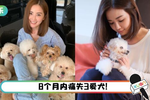 蔡卓妍15岁“妹妹”离世！泪诉：你永远是我的小Baby