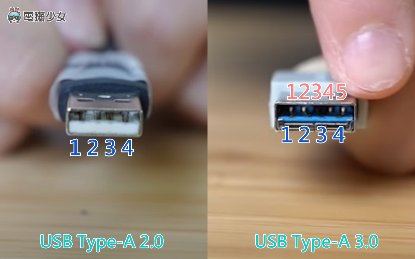 3C 线材懒人包！USB Type-A、Type-B、Type-C 怎么分？USB 2.0、3.2 差在哪？ 数码科技 图6张